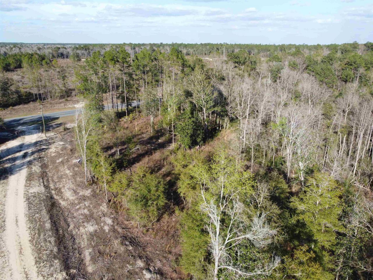 Xxx NE E Sr 20, Hosford, FL 32334 Photo