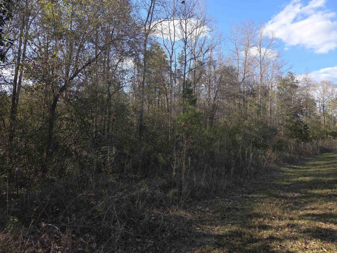 Xxx NE E Sr 20, Hosford, FL 32334 Photo