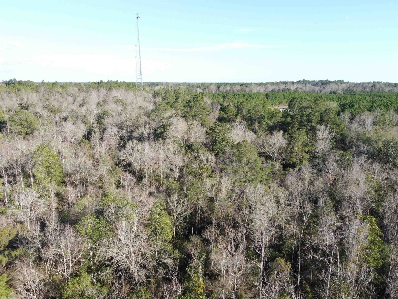 Xxx NE E Sr 20, Hosford, FL 32334 Photo