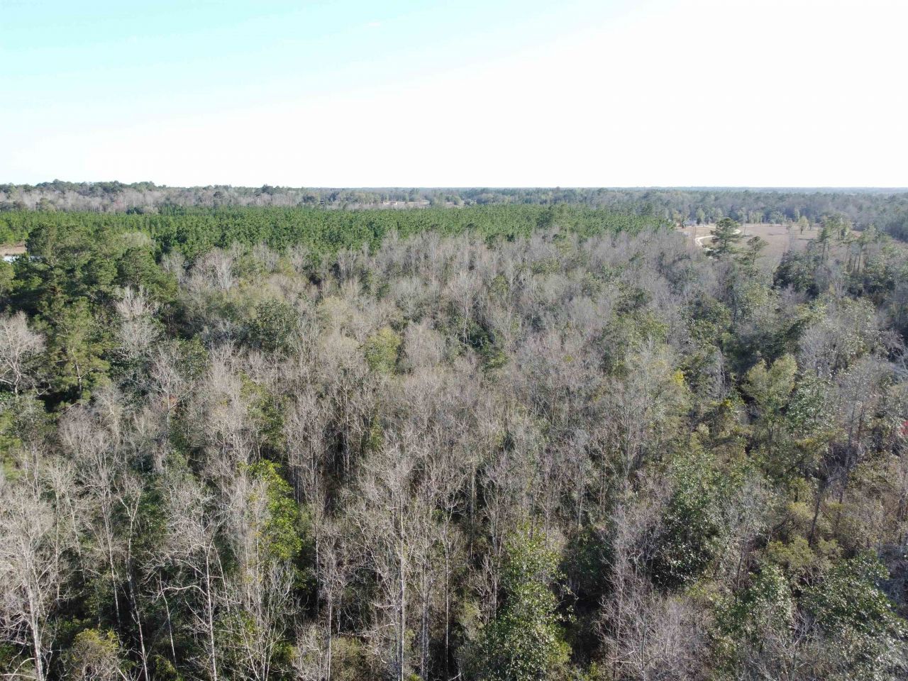 Xxx NE E Sr 20, Hosford, FL 32334 Photo