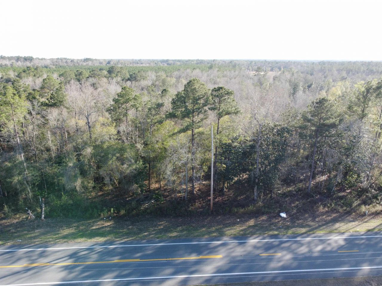 Xxx NE E Sr 20, Hosford, FL 32334 Photo