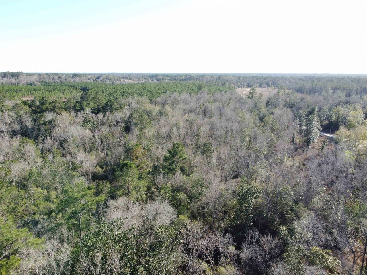 Xxx NE E Sr 20, Hosford, FL 32334 Photo