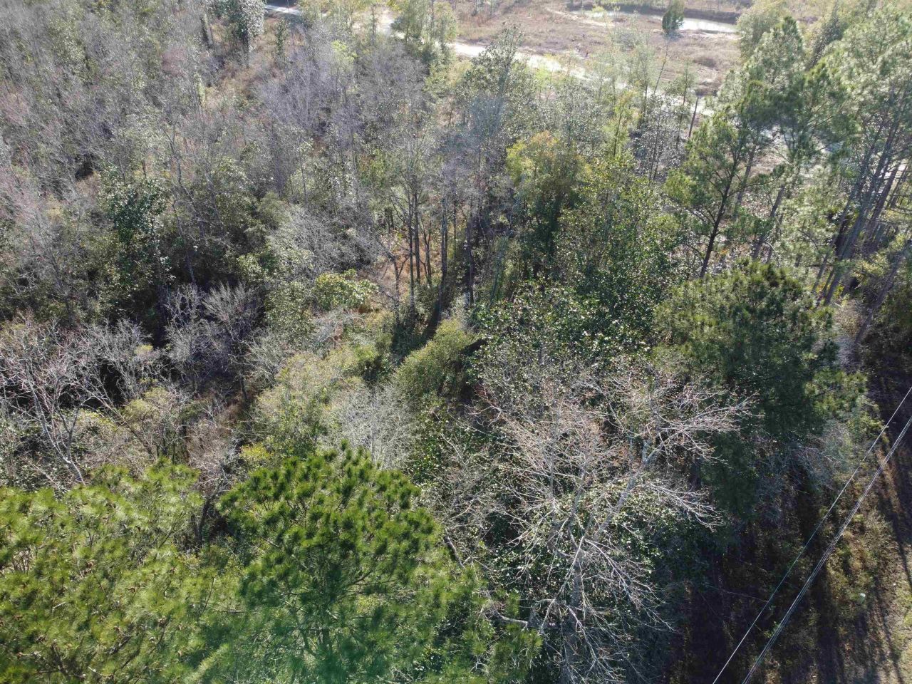 Xxx NE E Sr 20, Hosford, FL 32334 Photo
