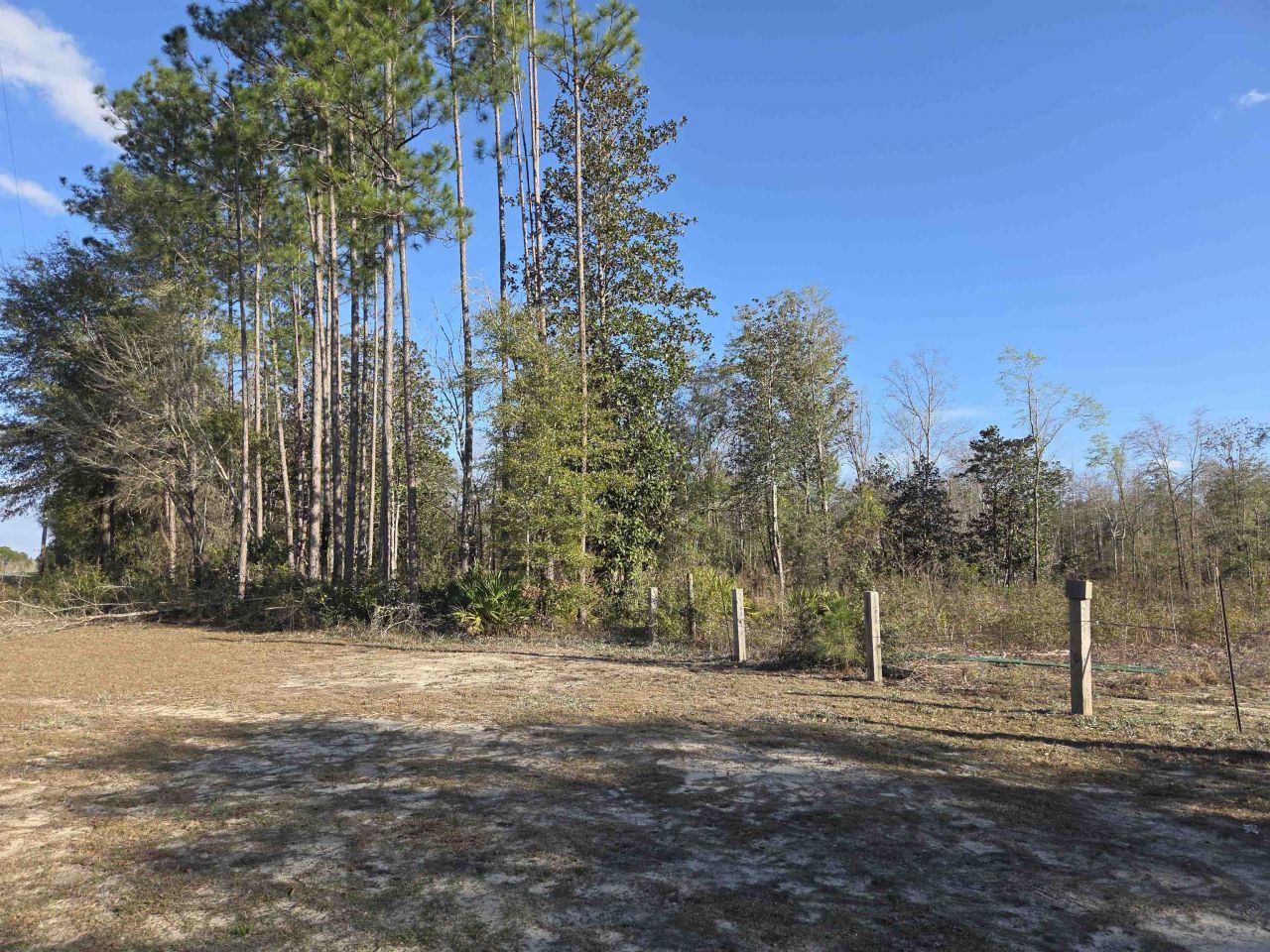Xxx NE E Sr 20, Hosford, FL 32334 Photo