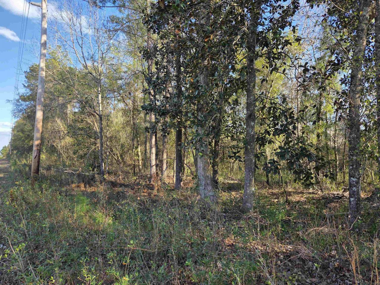 Xxx NE E Sr 20, Hosford, FL 32334 Photo