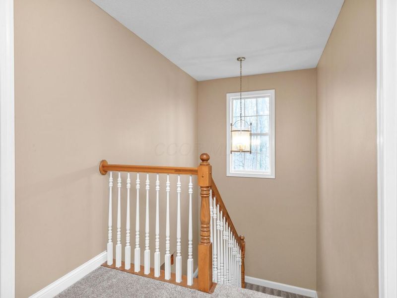 2375 Cross Creek Court, Lewis Center, OH 43035 Photo 43