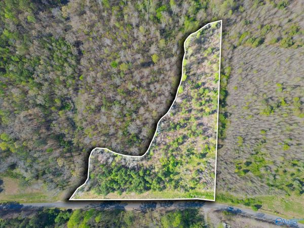 4 acres County Road 346, Pisgah, AL 35765