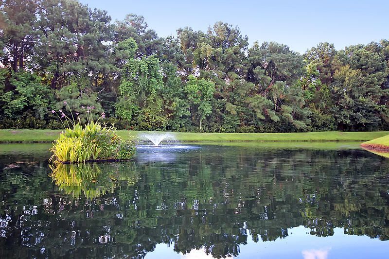 1812 Chatelain Way Photo 55