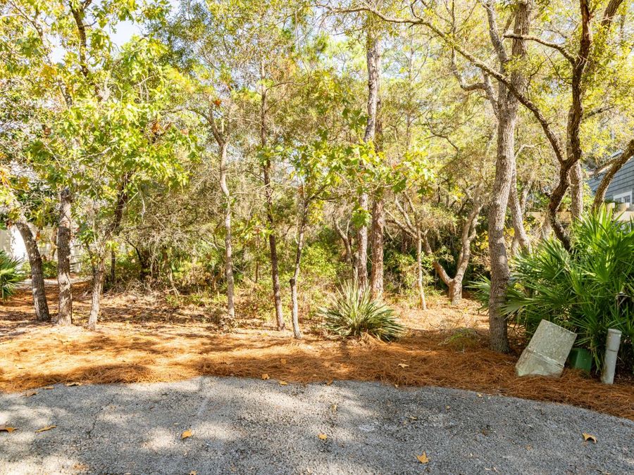 Property Image 48