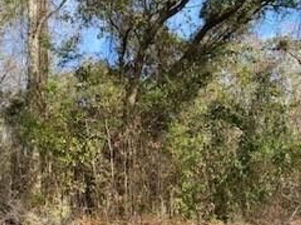 48th Avenue, Gulfport, MS 39501