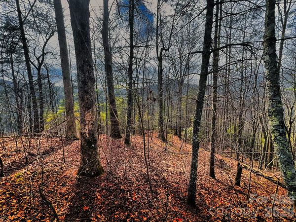 232 Thorncliff Road , Marshall, NC 28753