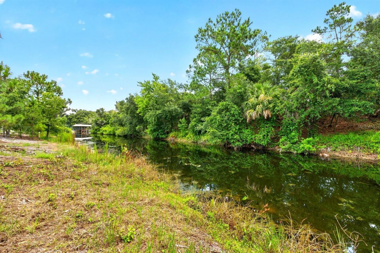 27324 Grand Oak Lane, Tavares, FL 32778 Photo