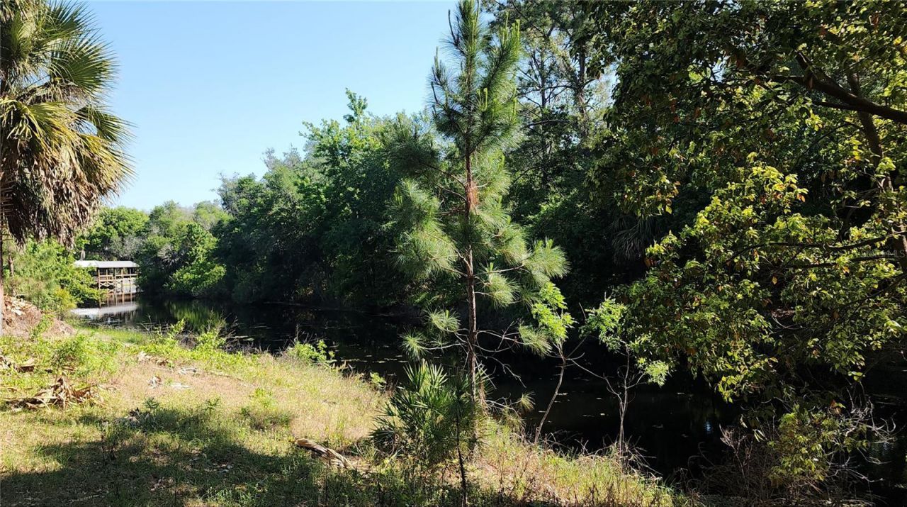 27324 Grand Oak Lane, Tavares, FL 32778 Photo