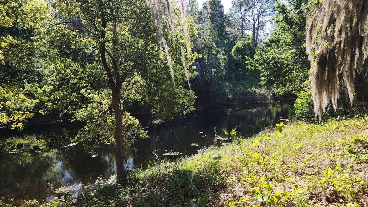 27324 Grand Oak Lane, Tavares, FL 32778 Photo