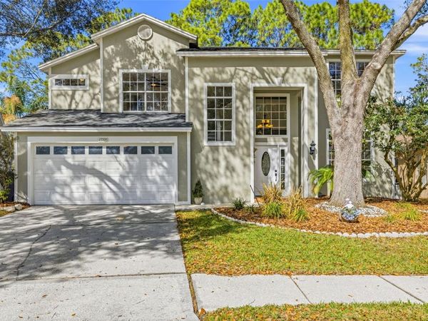 17705 ESPRIT DRIVE, TAMPA, FL 33647