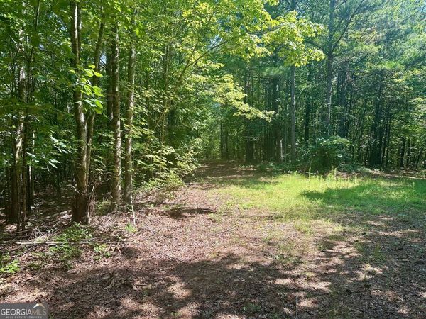 40 Patriot View Drive, Dahlonega, GA 30533