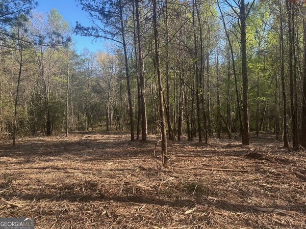 0 Lee Mashburn Road, Dahlonega, GA 30533