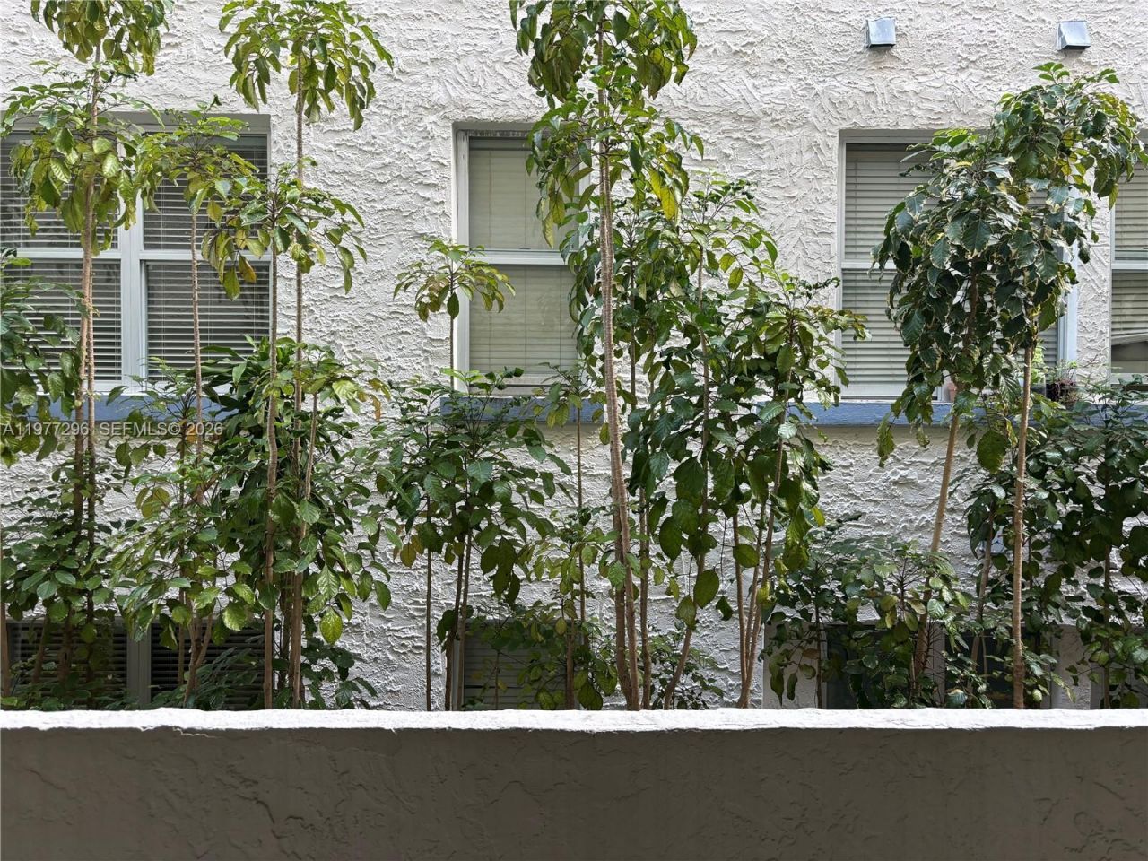 1615 Meridian Ave, Unit 203, Miami Beach, FL 33139 Photo