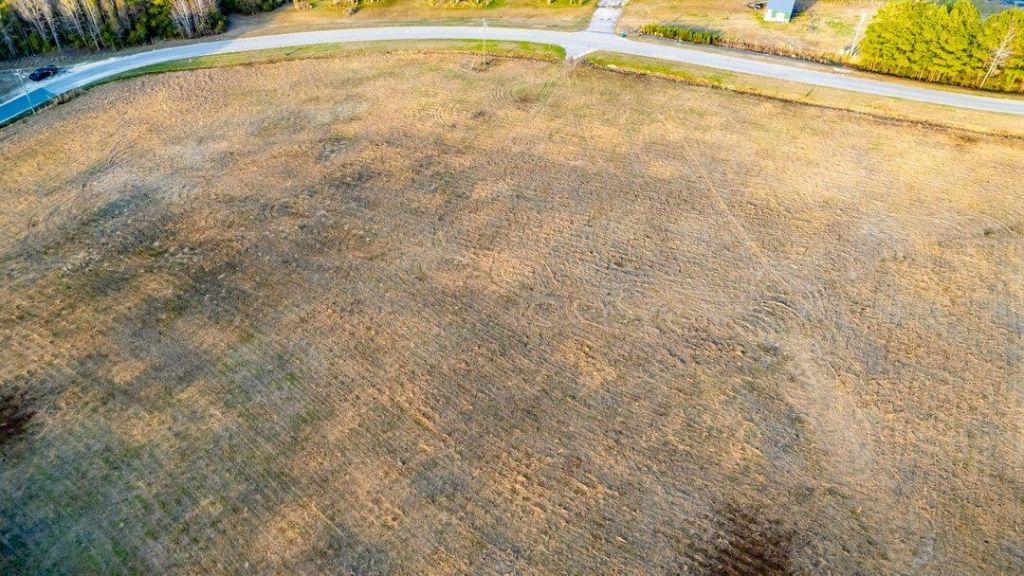 4.3 Acres Night Owl Ln. Photo 10