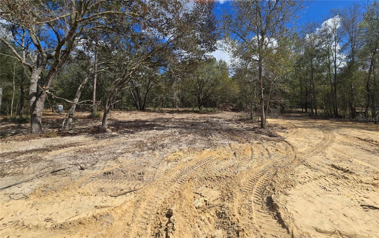 8541 NE 105 Avenue , Bronson, FL 32621 Photo