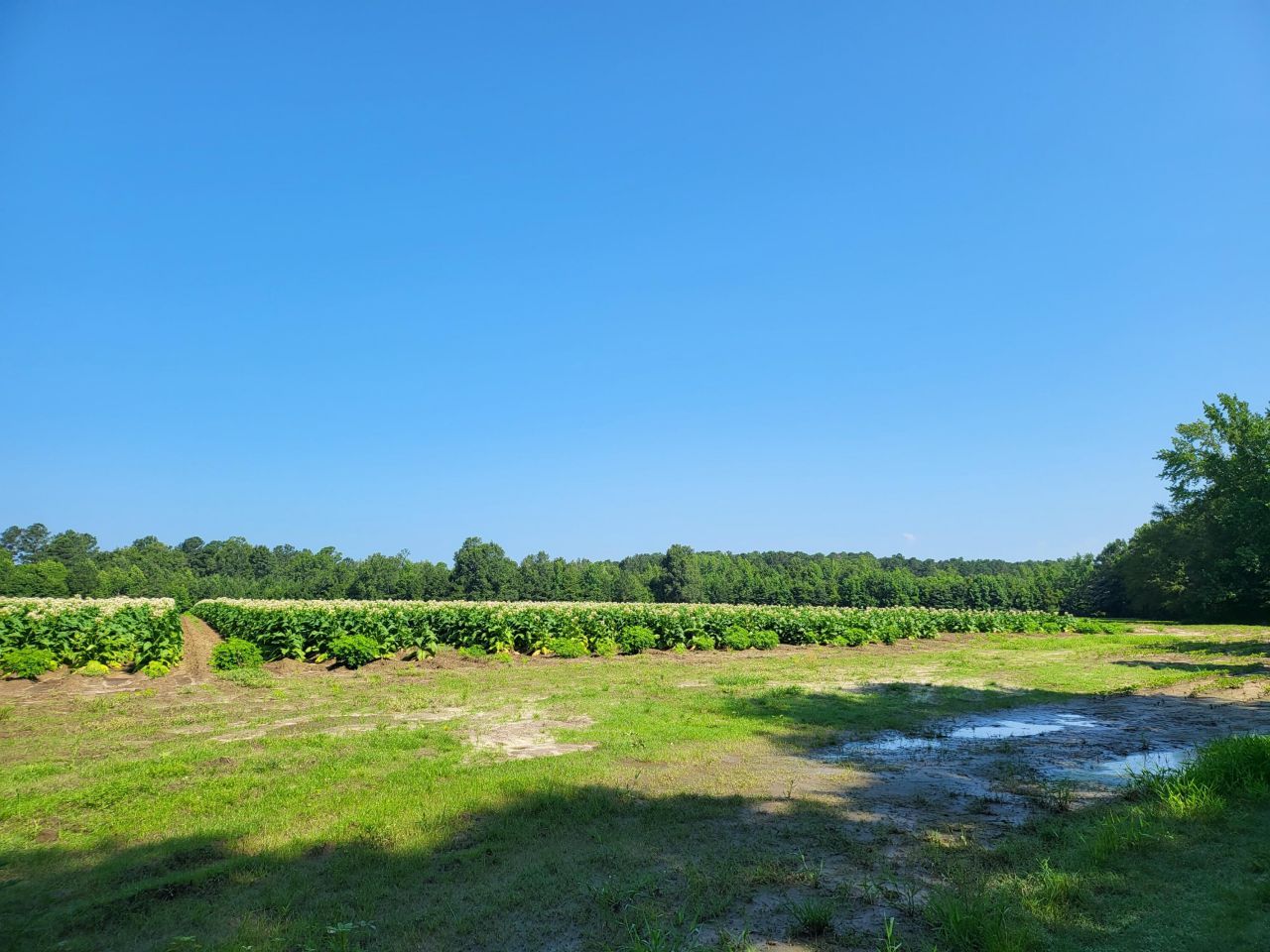 0 Guess Road Photo 4