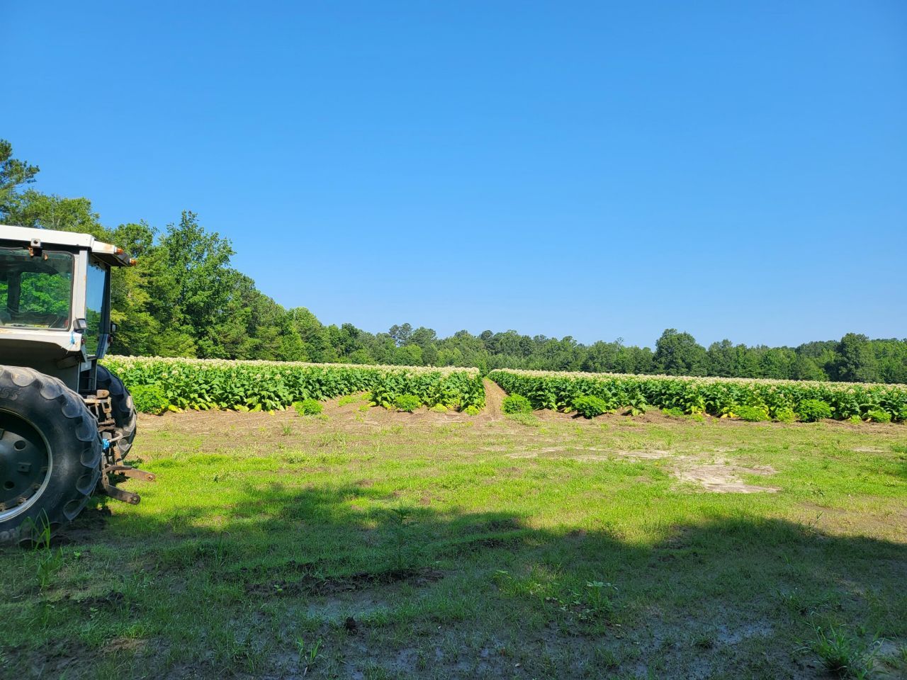 0 Guess Road Photo 5