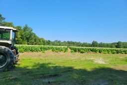 0 Guess Road photo 4