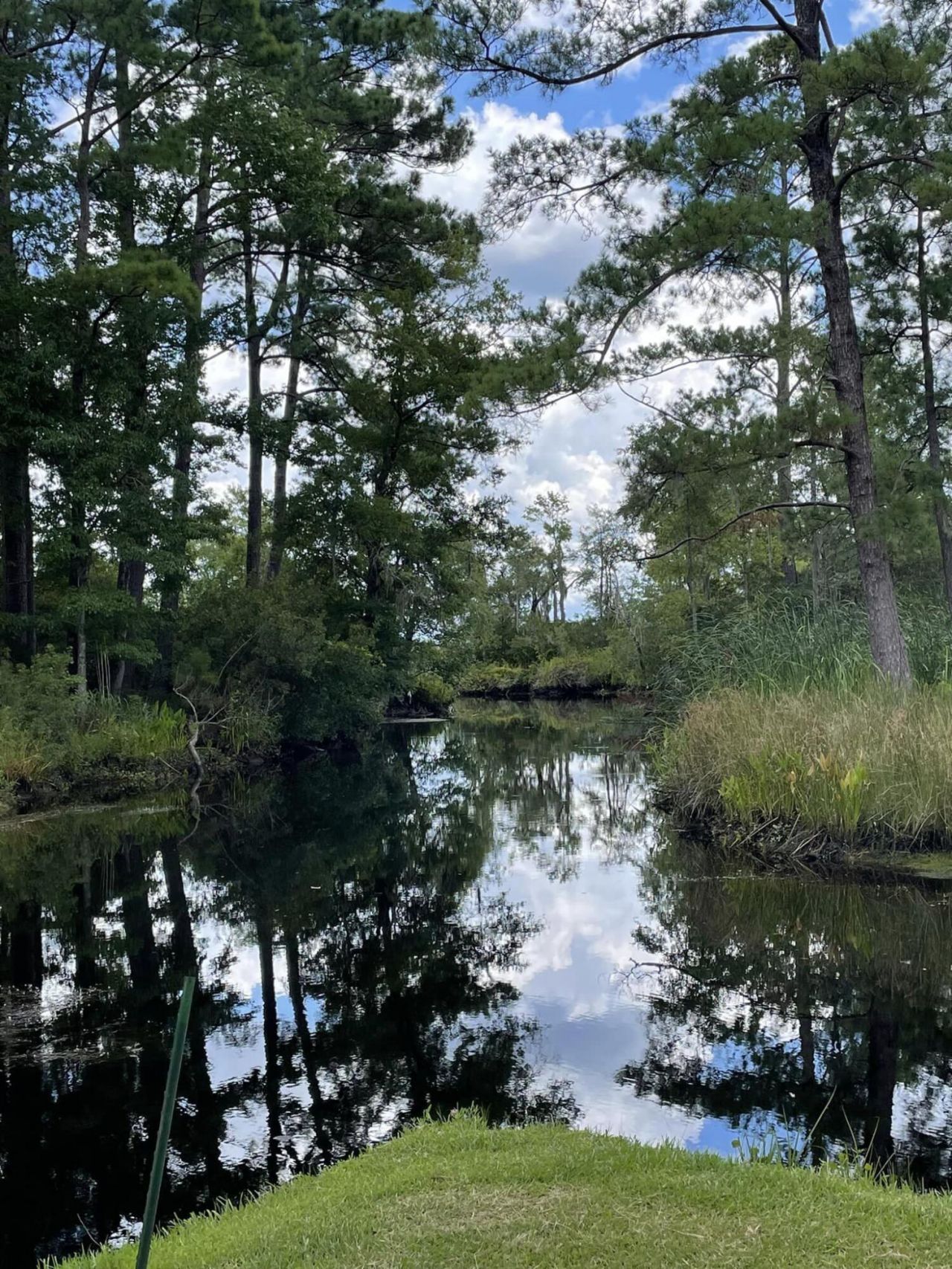 538 Castlebury Road Photo 33