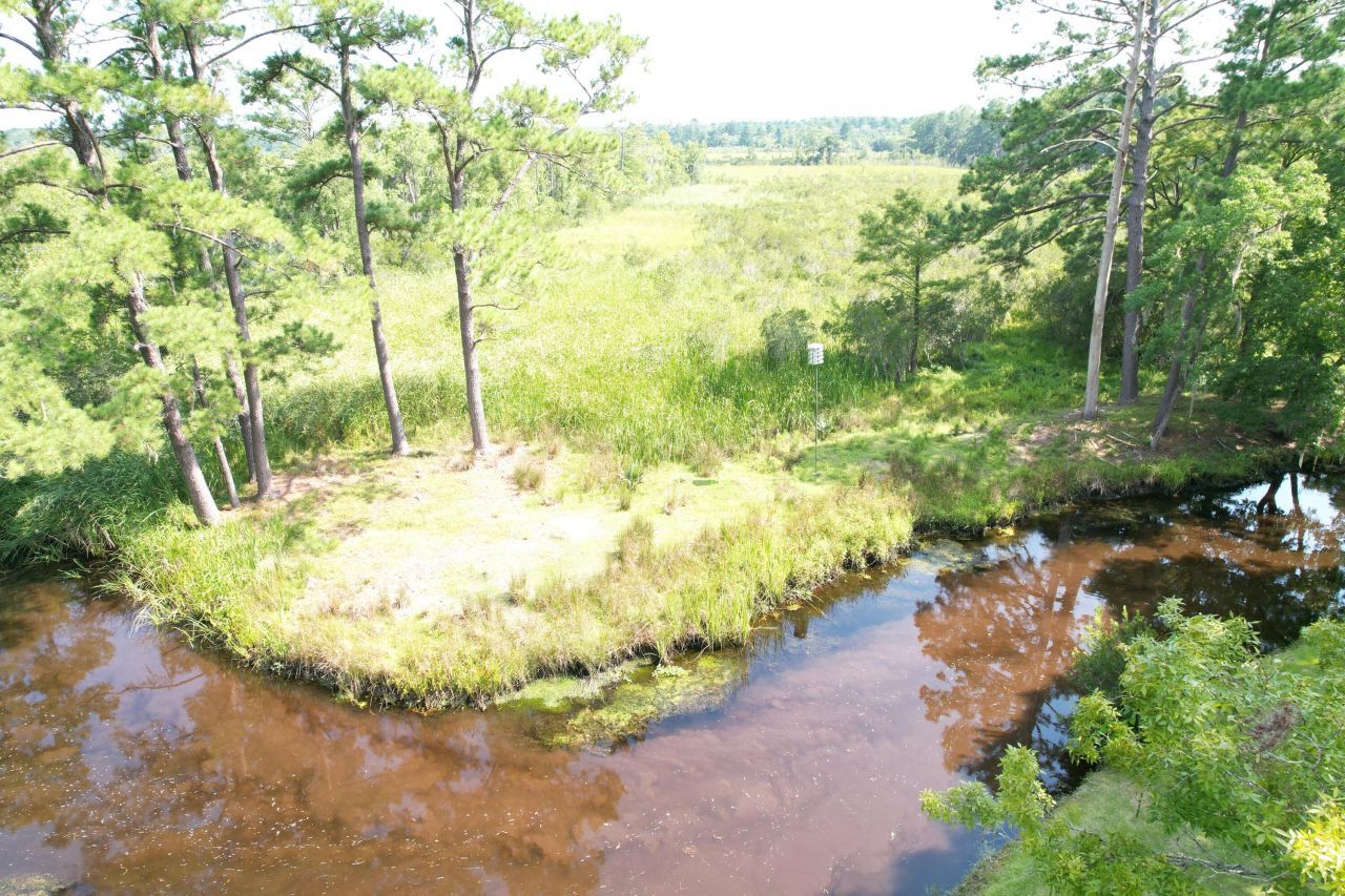 538 Castlebury Road Photo 36