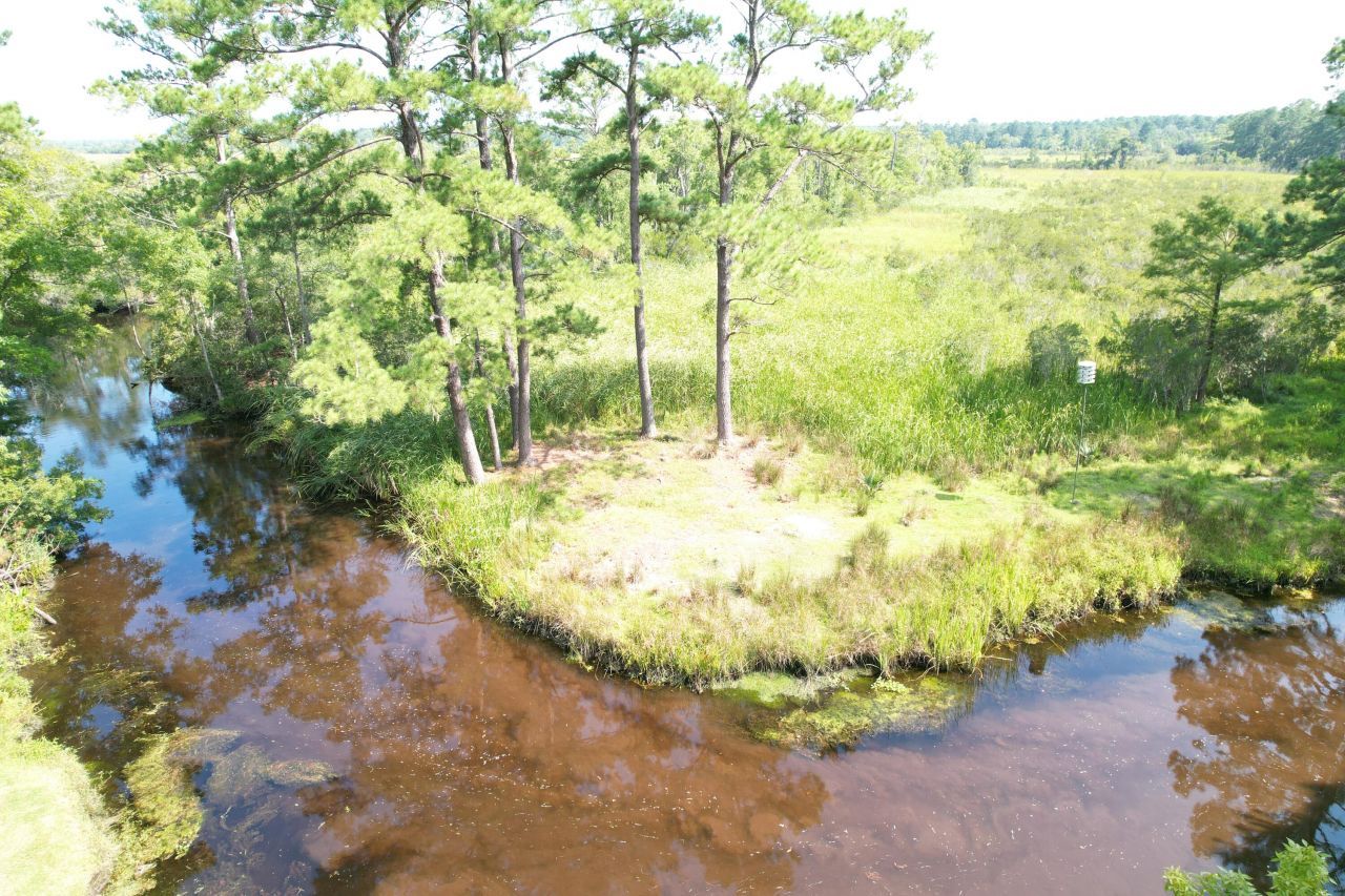 538 Castlebury Road Photo 40