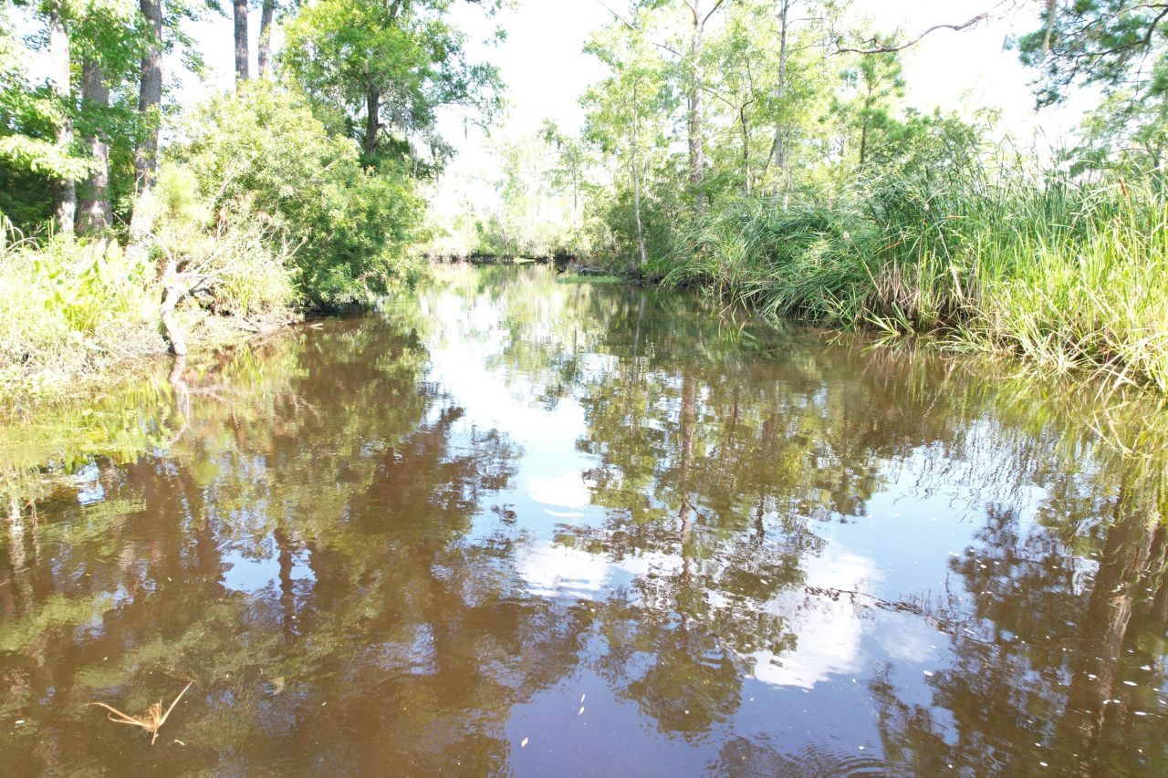 538 Castlebury Road Photo 41