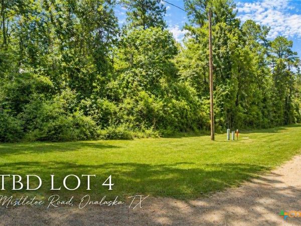TBD MISTLETOE Street, Onalaska, TX 77360
