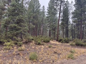 0 Stillwater Way Chiloquin, OR 97624