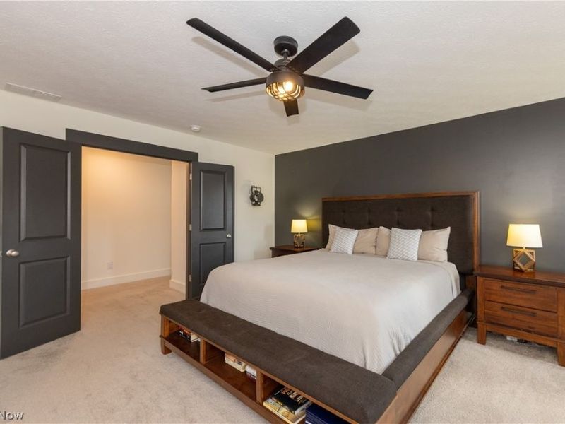 8810 Leatherleaf Drive, Columbia Station, OH 44028 Photo 27