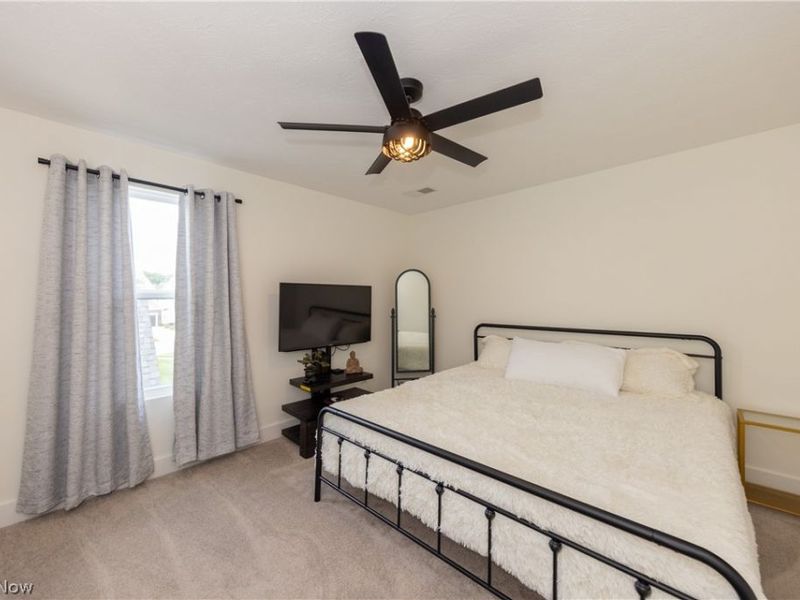 8810 Leatherleaf Drive, Columbia Station, OH 44028 Photo 35