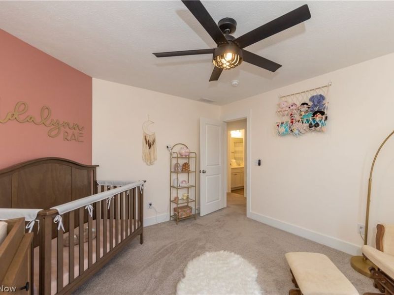 8810 Leatherleaf Drive, Columbia Station, OH 44028 Photo 39