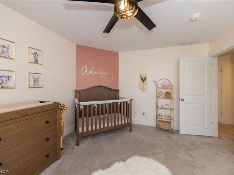 8810 Leatherleaf Drive, Columbia Station, OH 44028 Photo 40