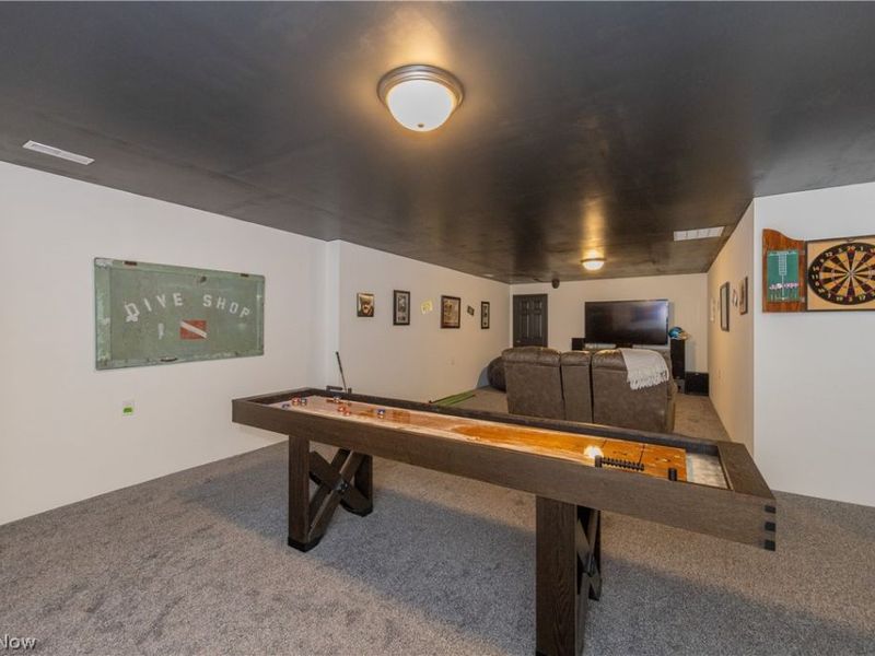 8810 Leatherleaf Drive, Columbia Station, OH 44028 Photo 41