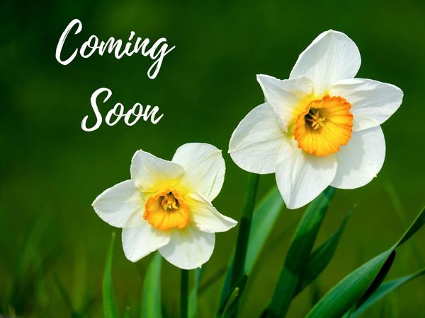 216 Statz Lane, Dane, WI 53529