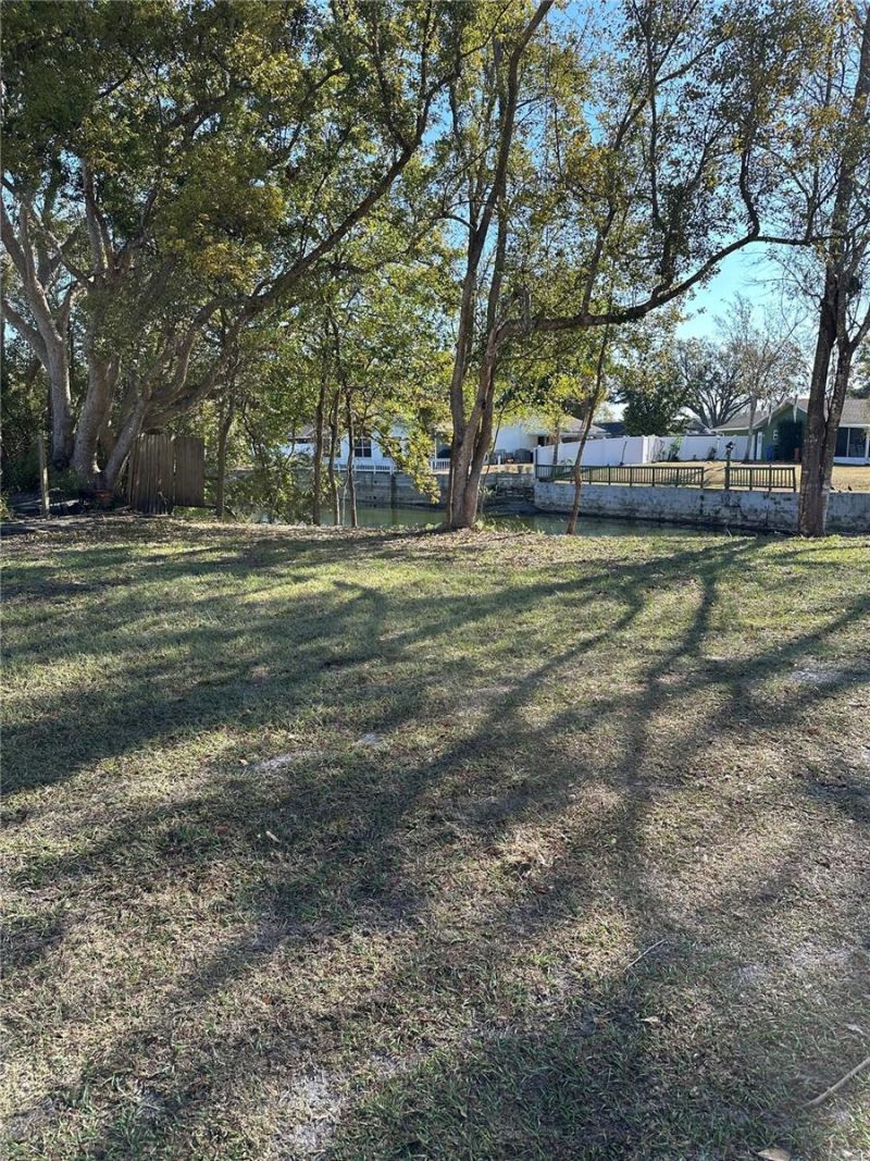 Sunrise Drive, Lutz, FL 33549 Photo