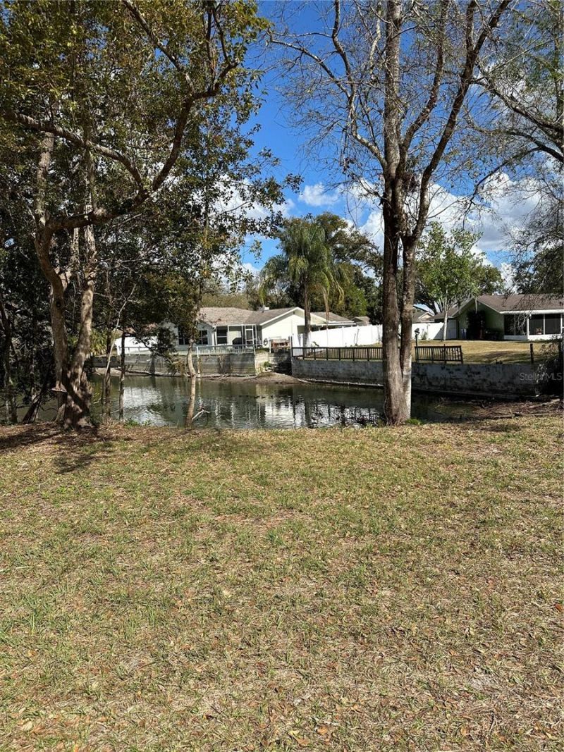 Sunrise Drive, Lutz, FL 33549 Photo