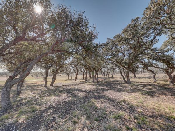 200 Mosel, Harper, TX 78631