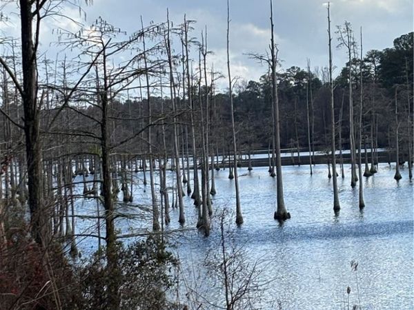 3342 Vassar Circle, Fayetteville, NC 28306