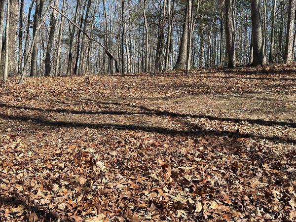 7 Ivy Hills Drive, Cleveland, GA 30528