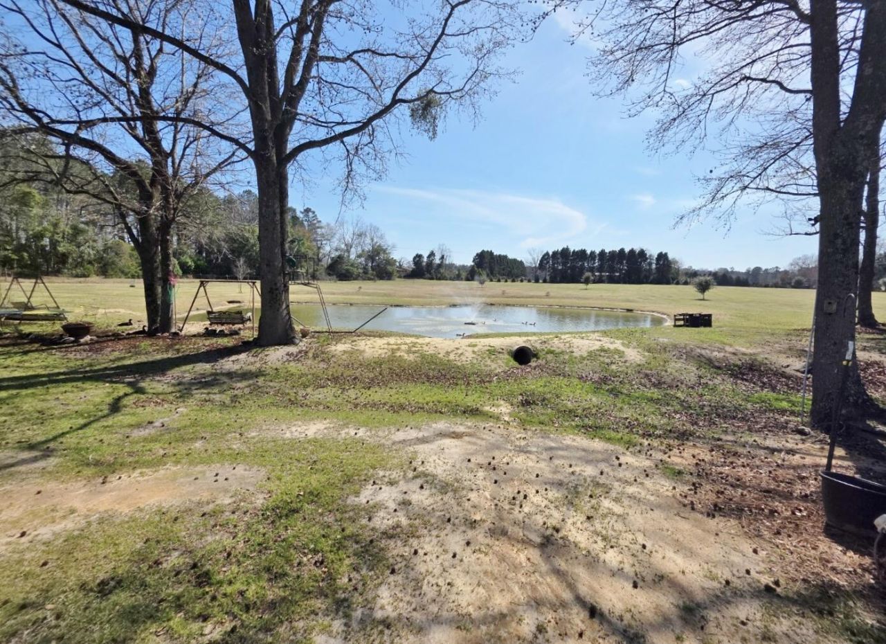 3135 Cox Road Photo 10