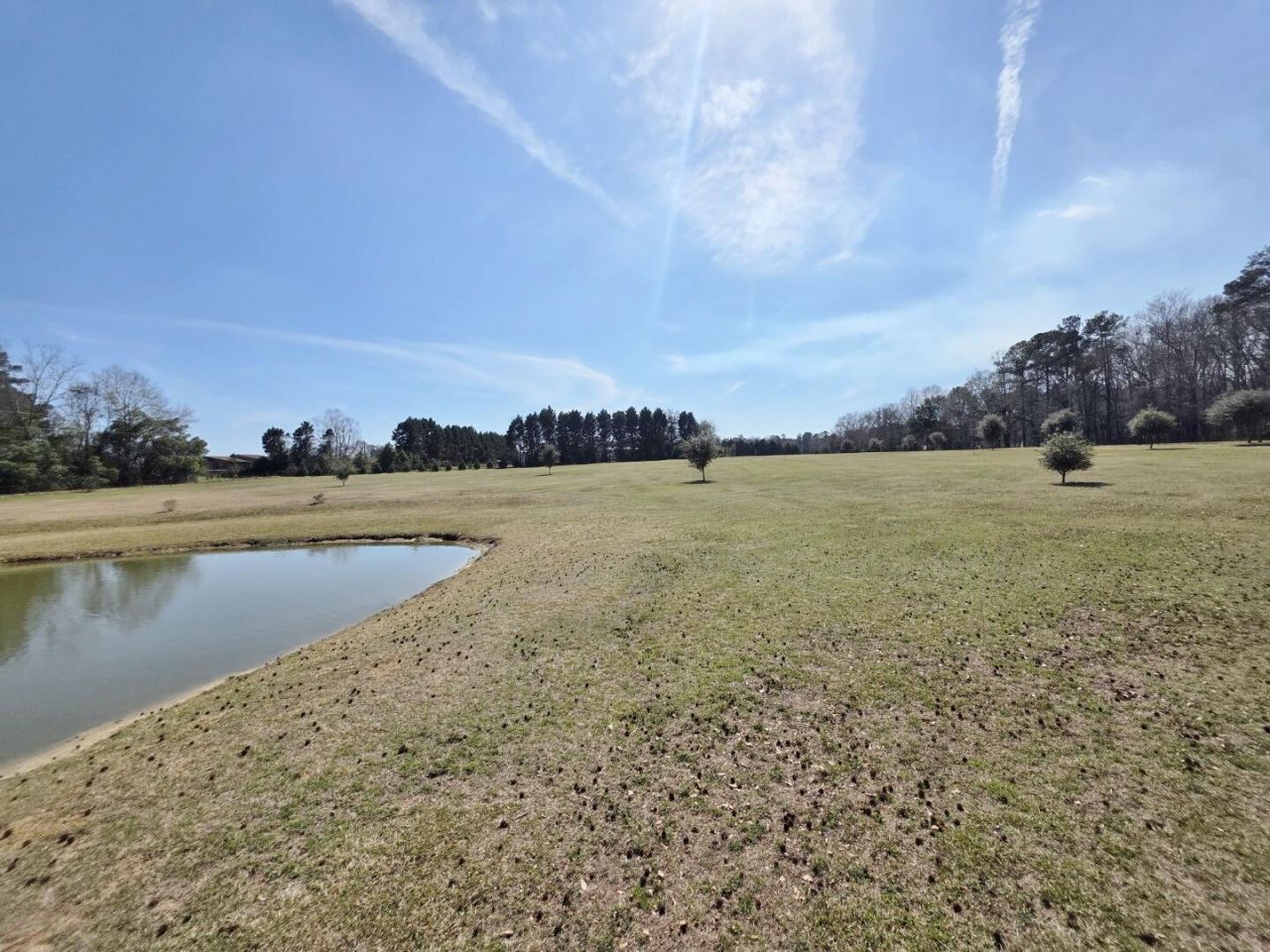 3135 Cox Road Photo 34