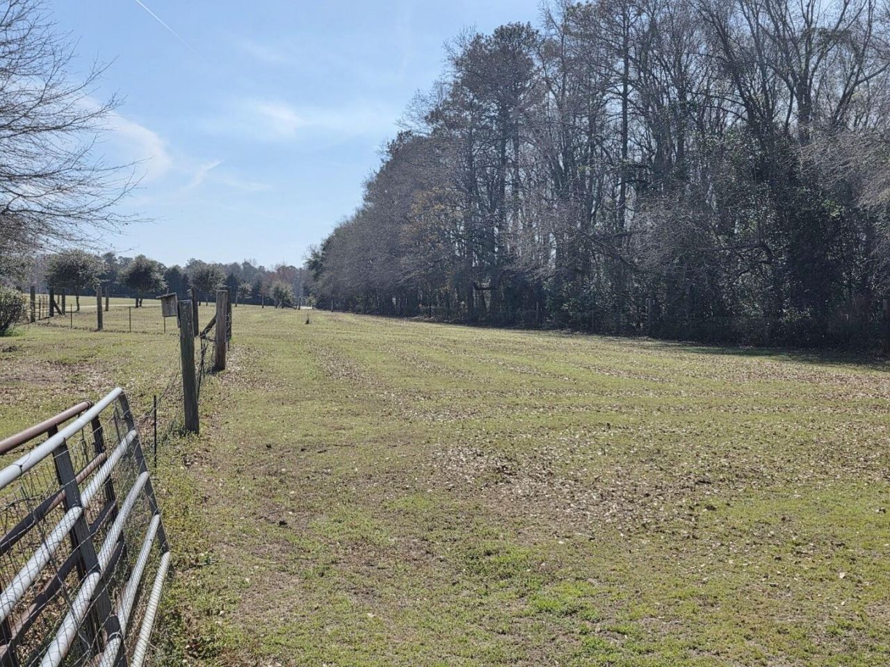 3135 Cox Road Photo 36