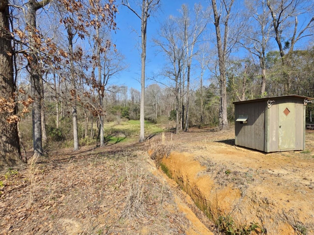 3135 Cox Road Photo 46