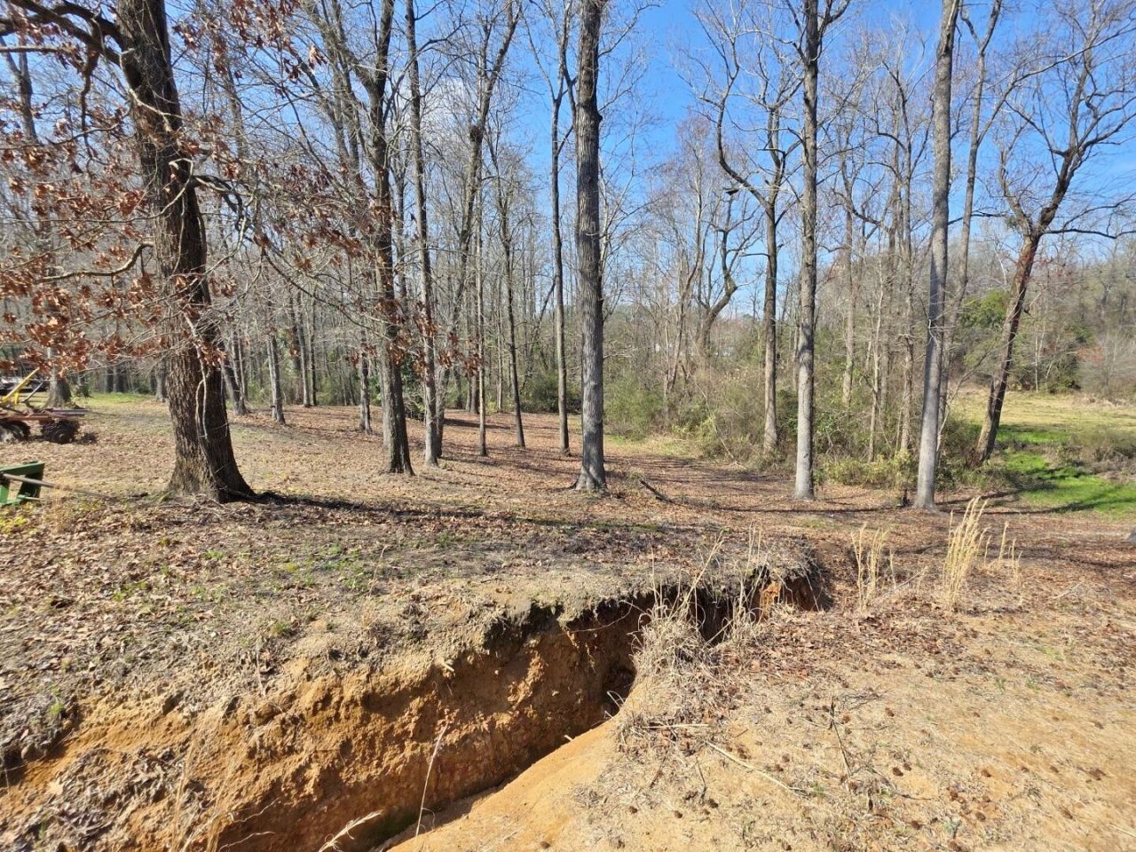 3135 Cox Road Photo 48