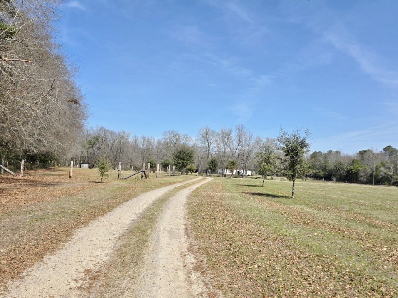 3135 Cox Road Photo 5